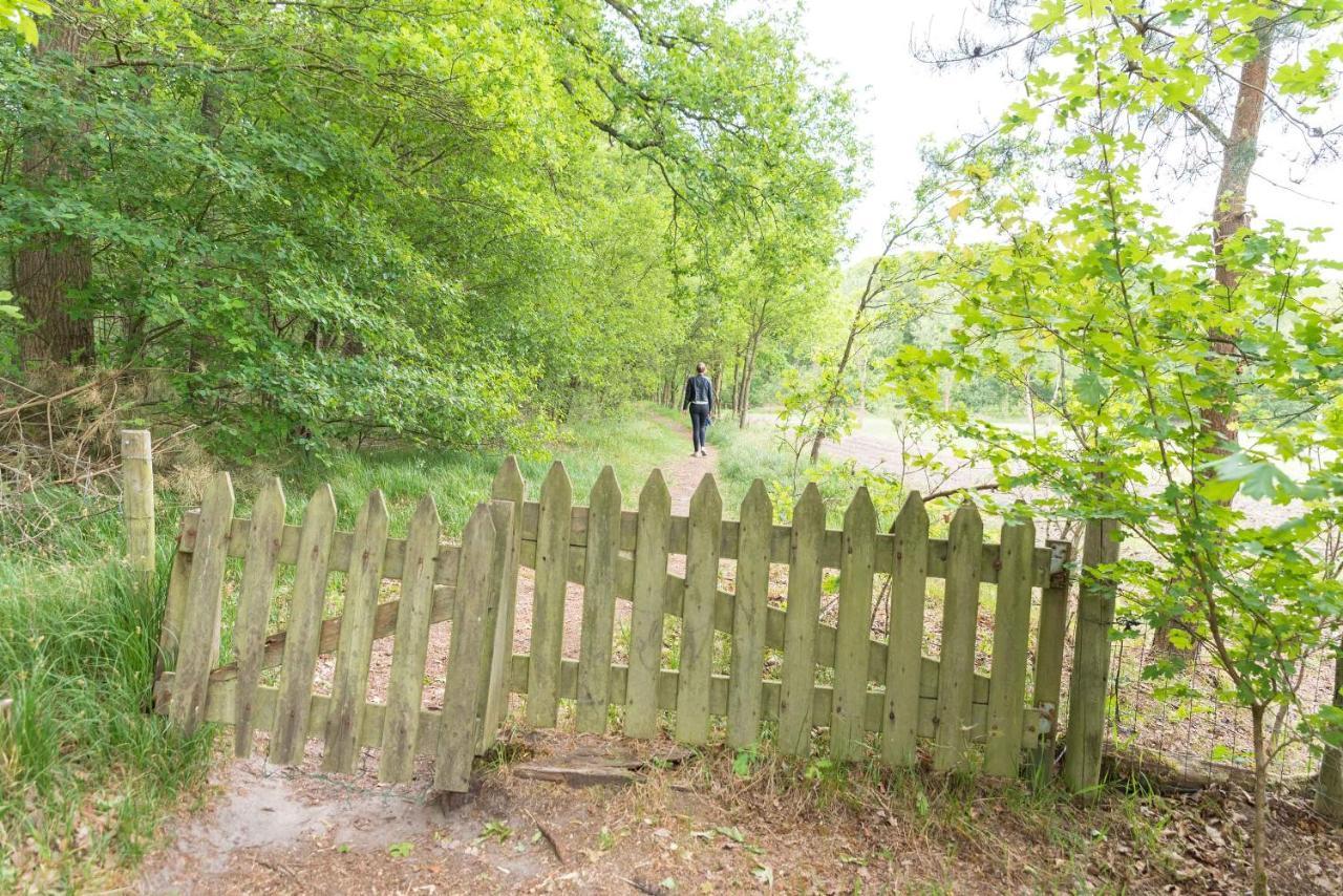 Vakantiehuis De Schaapskooi ดรูเนอ ภายนอก รูปภาพ