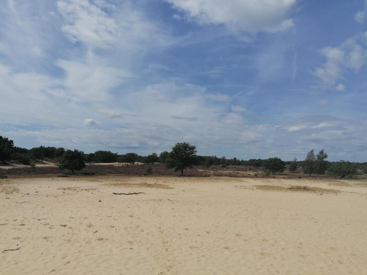 Vakantiehuis De Schaapskooi ดรูเนอ ภายนอก รูปภาพ