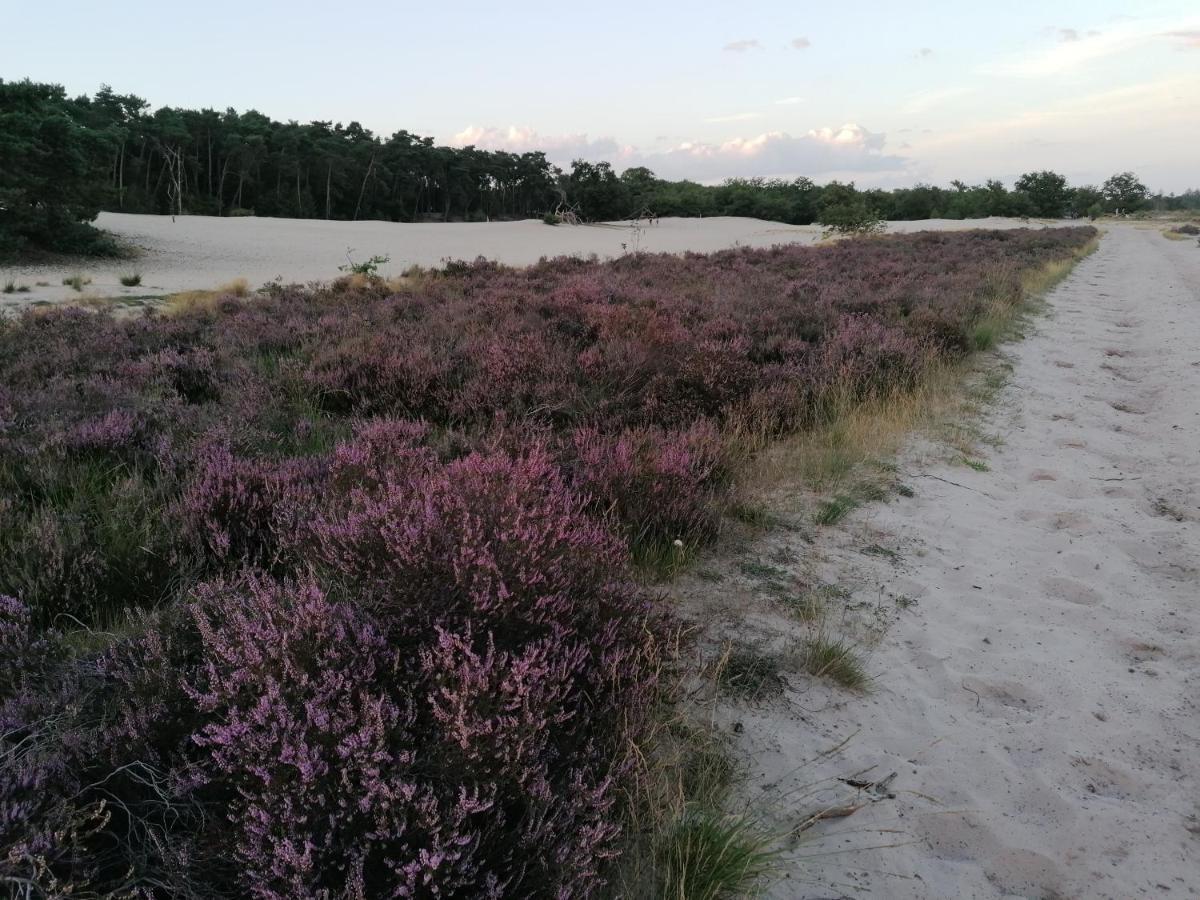 Vakantiehuis De Schaapskooi ดรูเนอ ภายนอก รูปภาพ